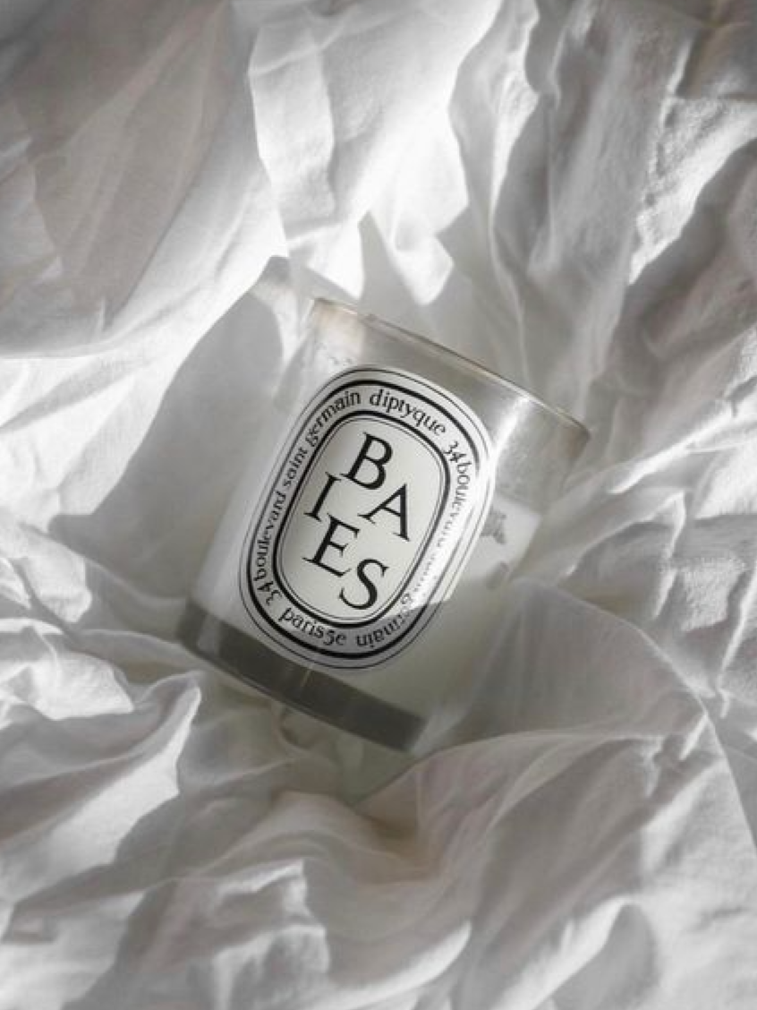 MY | DIPTYQUE Baies (Berries) - Classic Candle 190g